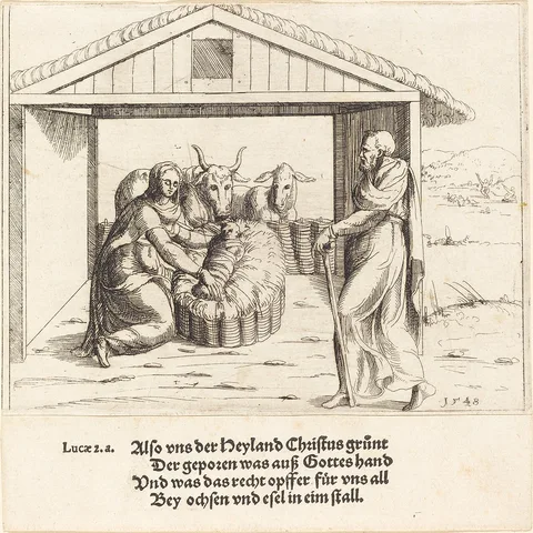 Augustin Hirschvogel, The Nativity