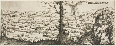 Augustin Hirschvogel, Landscape with a Tree in Center of Foreground