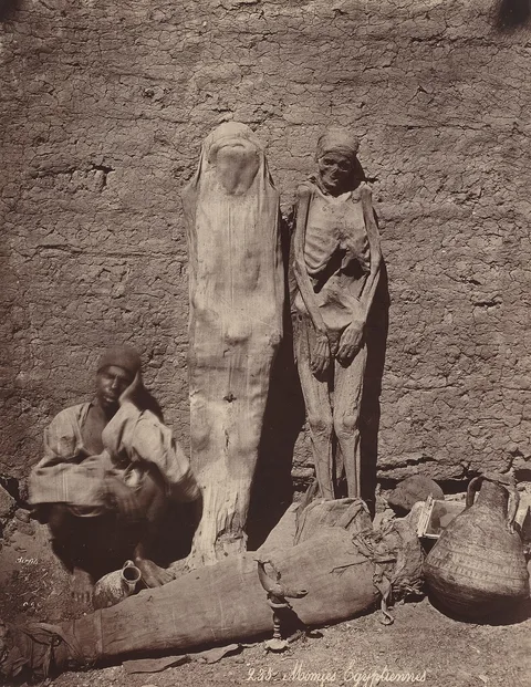 Félix Bonfils, Momies Egyptiennes (Egyptian Mummies)