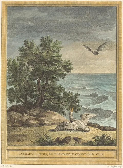 Pierre-Philippe Choffard, La chauve-souris, le buisson et le canard (The Bat, the Bush, and the Duck)