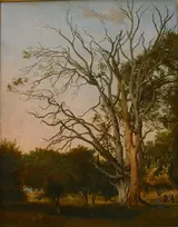 Johann Hermann Carmiencke, Woodland Scene with a Dead Tree