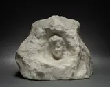 Édouard Houssin, Head