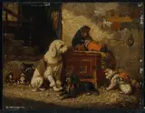 Vincent De Vos, Circus dogs and monkey