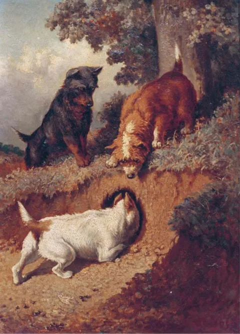 Vincent De Vos, Chasing rabbits