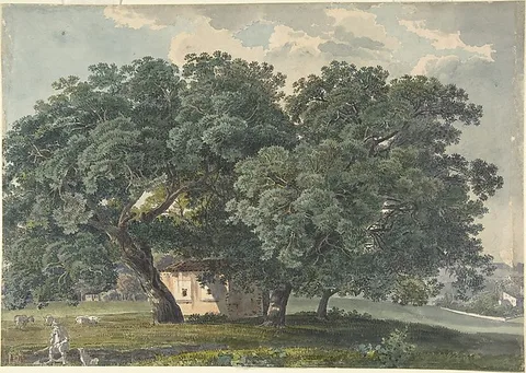 Friedrich Salathé, Italian Landscape with Trees (recto)