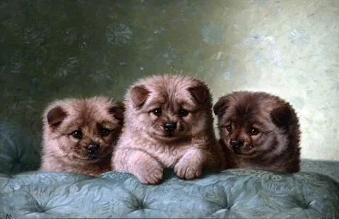 Horatio Henry Couldery, Chow Chows