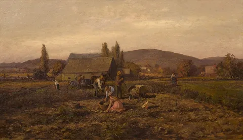 William Preston Phelps, Harvesting Potatoes
