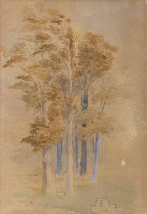John Gully, Totara and Pine, Baigent's Bush, Wakefield