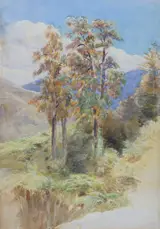 John Gully, Rimu Trees - Riwaka