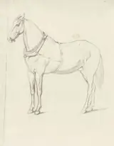 Willem Carel Nakken, Staand paard, naar links