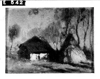 François Cachoud, Untitled