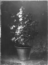 Jan Kašpar Hirschely, Untitled