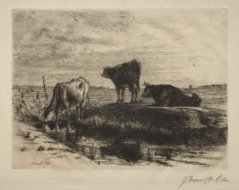 Joseph Foxcroft Cole, The Three Cows