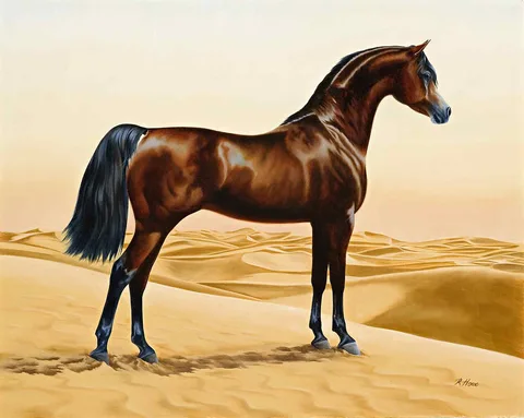 William Barraud, Arab horse