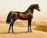 William Barraud, Arab horse