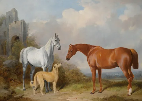 William Barraud, A Grey and a Chestnut Hunter with a Deerhound