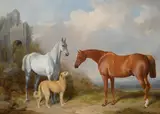 William Barraud, A Grey and a Chestnut Hunter with a Deerhound
