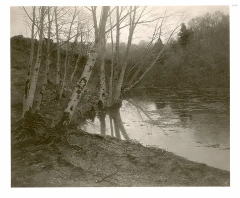 August Fink, Untitled