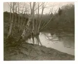August Fink, Untitled