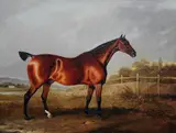 Edwin Cooper, A Bay Hunter in a Landscape