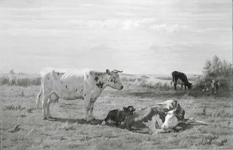 Dirk Peter van Lokhorst, Untitled