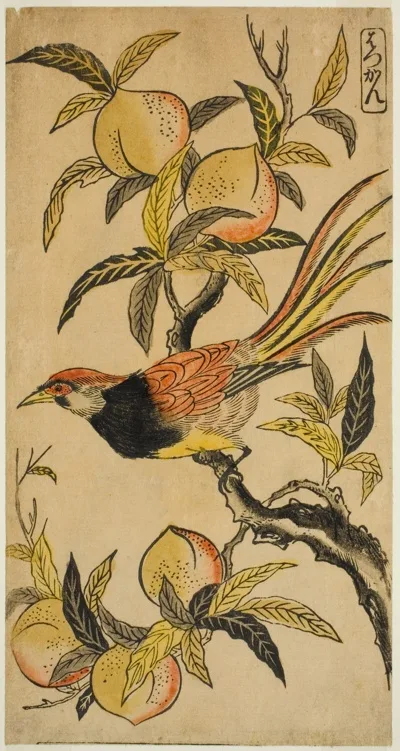 Nishimura Shigenaga, Silver Pheasant (Hakkan)