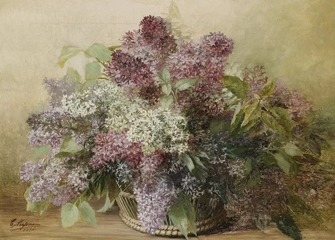 Carl Massmann, Untitled