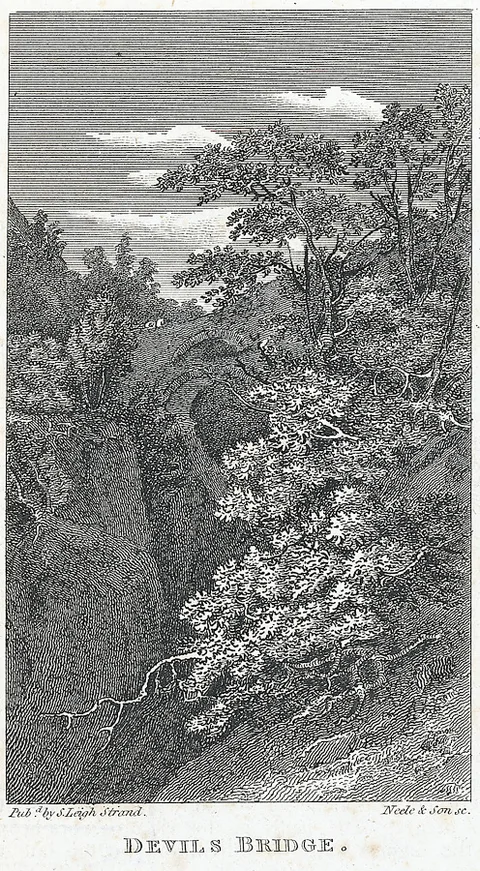 Samuel John Neele, Devils Bridge