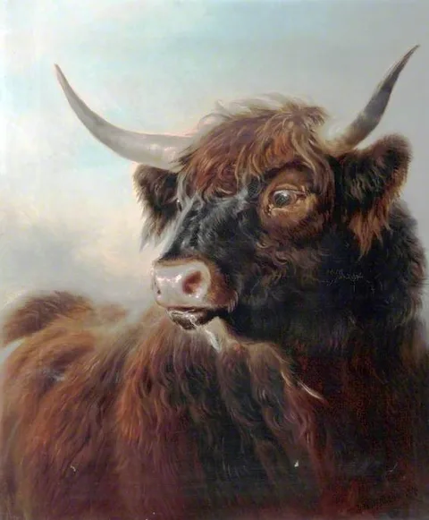 William Watson, A Highland Bull