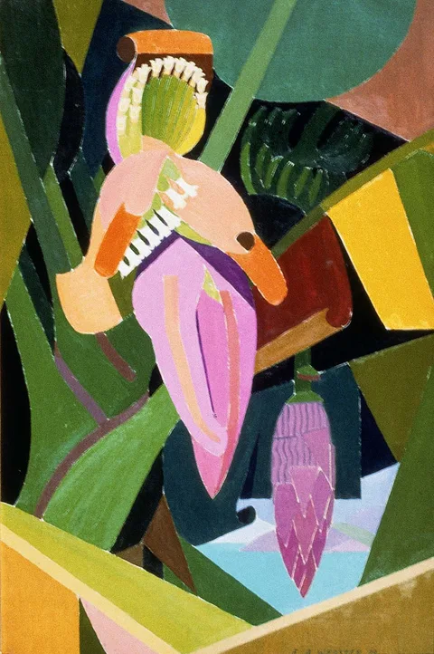 Edwin Ambrose Webster, Banana