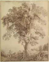 Jakob Philipp Hackert, A Large Tree at Albano