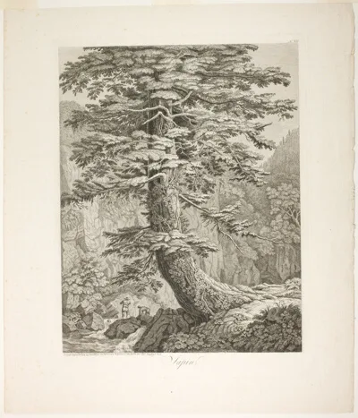 Jakob Philipp Hackert, Fir Tree