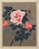 Urushibara Mokuchu, Peonies