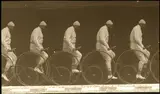 Étienne-Jules Marey, Chronophotograph of a Man on a Bicycle