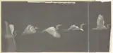 Étienne-Jules Marey, Heron in Flight
