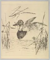 Félix Bracquemond, Duck