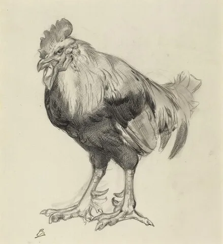 Félix Bracquemond, The Old Cock