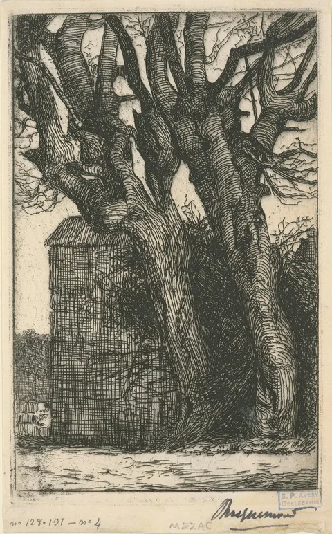 Félix Bracquemond, Two large hornbeam trunks in front of a wall