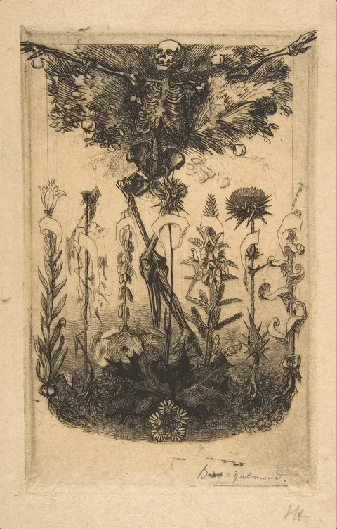 Félix Bracquemond, Untitled