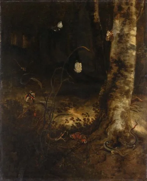 Otto Marseus van Schrieck, Forest Floor with a Snake, Lizards, Butterflies and other Insects
