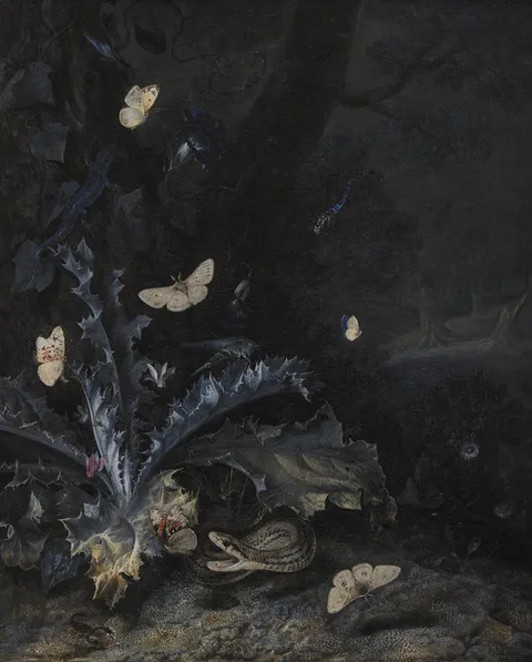 Otto Marseus van Schrieck, Still Life with Thistle and Snake