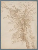 Jacob de Gheyn II, Study of a Tree