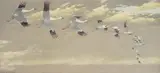 Louis Agassiz Fuertes, Thirteen Whooping Cranes in Flight