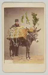 Giorgio Sommer, [Neapolitan Folk Scene]