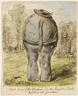 John Leech, Back View of the Elephant at the Regent's Park Zoological