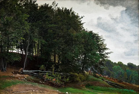 P. C. Skovgaard, Forest-clad Hills