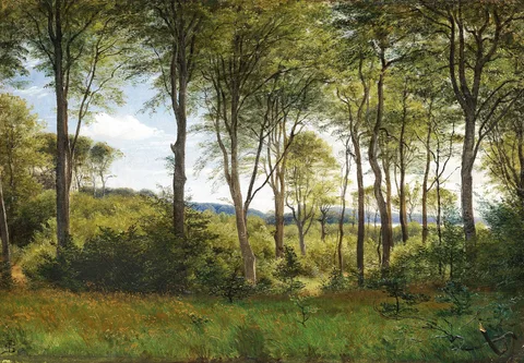 P. C. Skovgaard, The woods at Delhoved near Lake Skarrit.