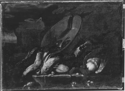 Giuseppe Recco, Untitled