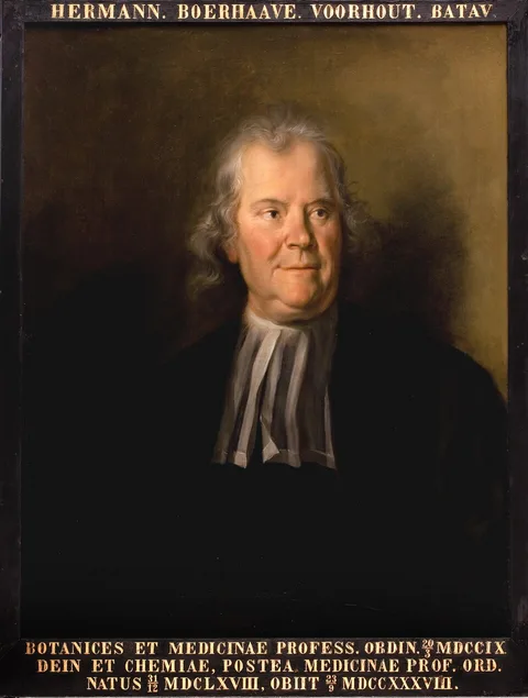 Cornelis Troost, Portrait of Herman Boerhaave, teacher of medicine in Leiden