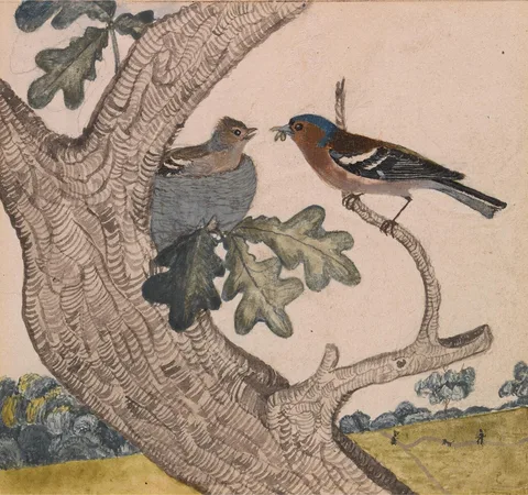Joseph Wolf, Chaffinch
